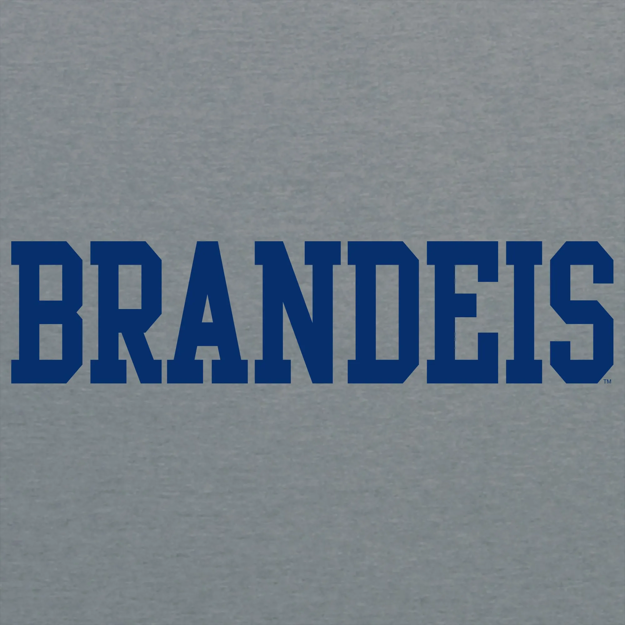 Brandeis Judges Basic Block T Shirt - Graphite Heather