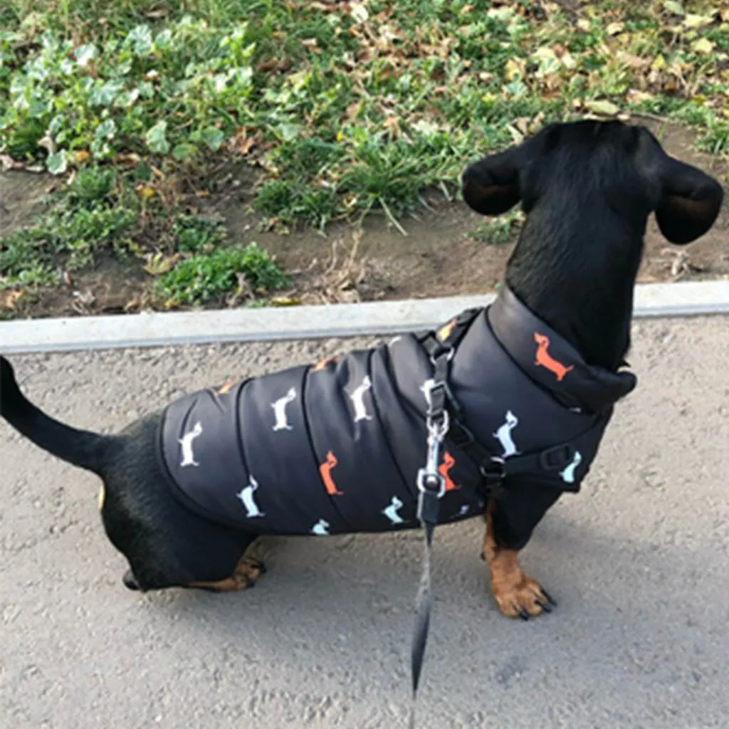 Sausage Dog Print Winter Vest (Size chart avaiable)