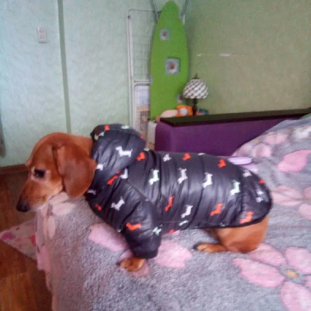 Sausage Dog Print Winter Vest (Size chart avaiable)