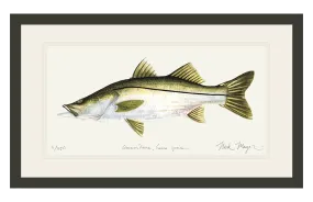 Snook Print